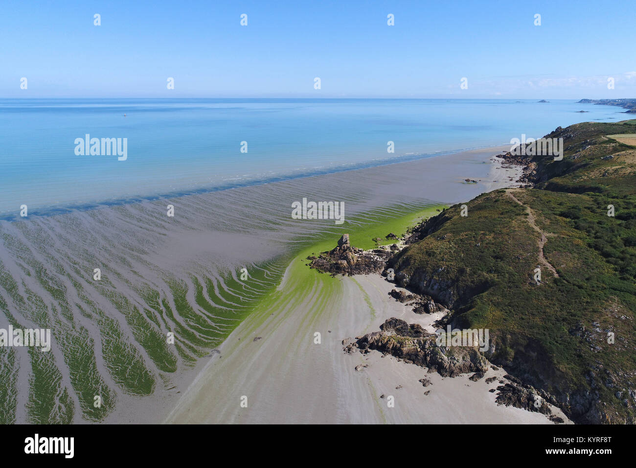 Morieaux (Bretagne, nord-ouest de la France) : Vue aérienne de la côte et le vert des algues marines sur la plage à marée basse Banque D'Images