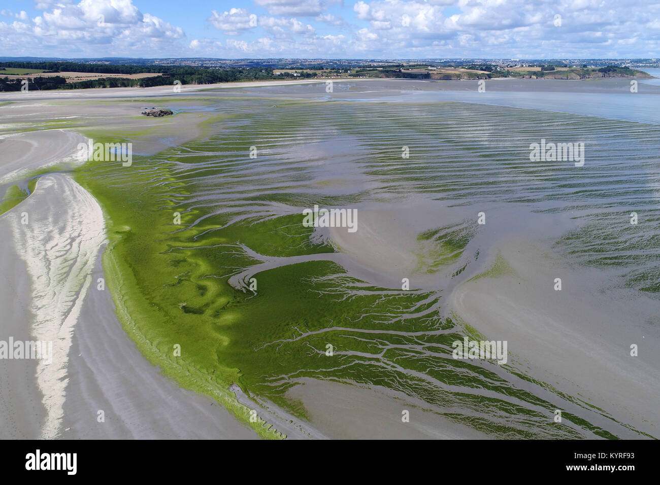 Morieaux (Bretagne, nord-ouest de la France) : Vue aérienne de la côte et le vert des algues marines sur la plage à marée basse Banque D'Images