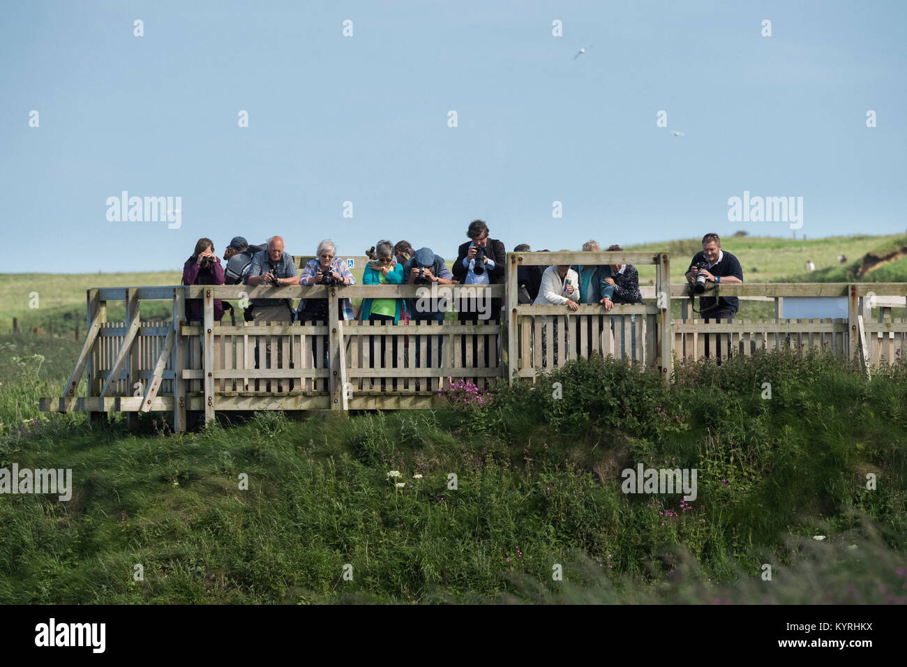 Vue de la falaise pour le groupe de personnes (d'oiseaux) avec appareils photos et jumelles sur sunny day - Falaises de Bempton RSPB réserve, East Yorkshire, Angleterre. Banque D'Images