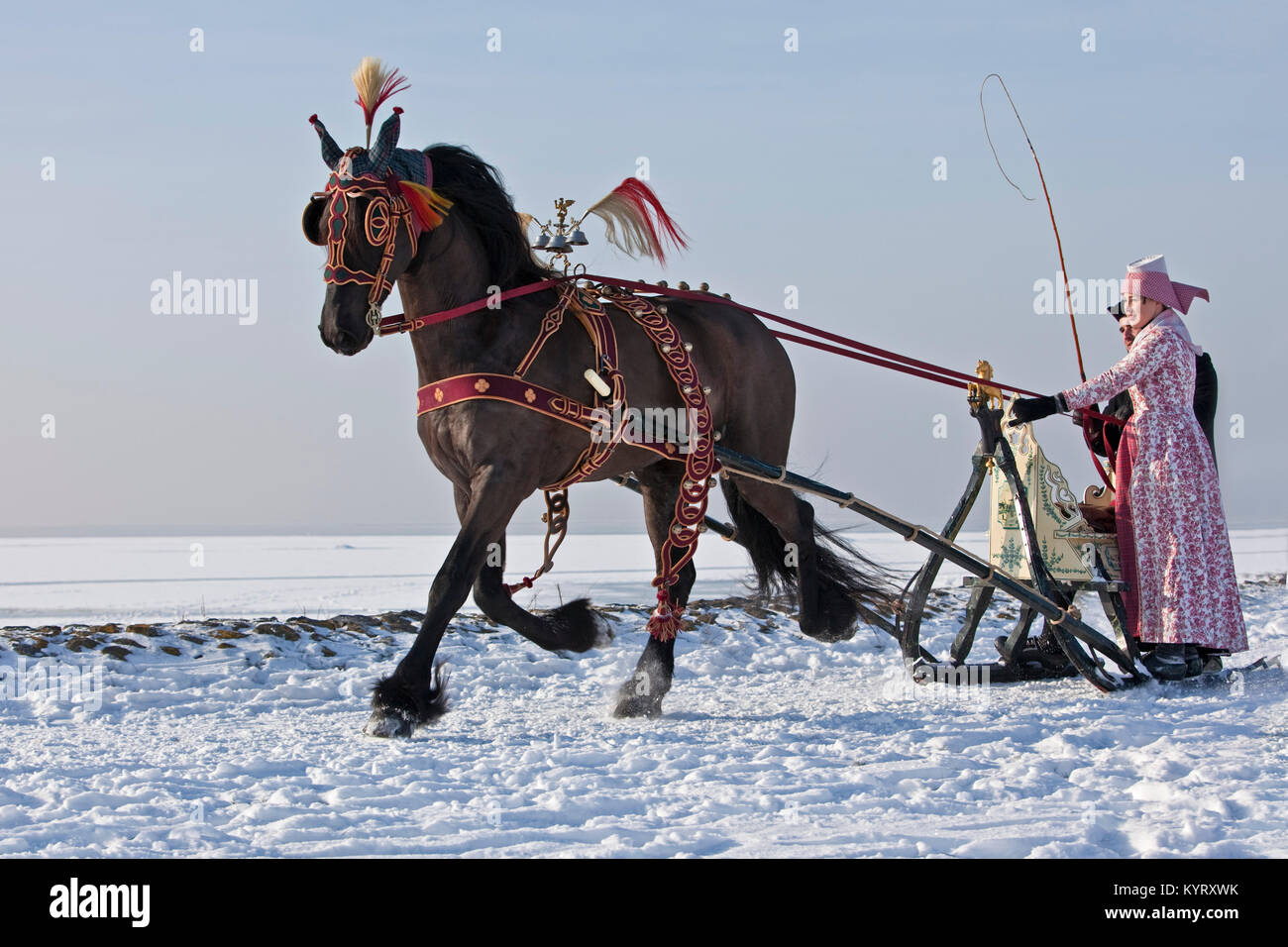 Les Pays-Bas, Hindeloopen, meubles anciens et de traîneau à cheval cheval frison. L'homme et la femme en costume traditionnel. L'hiver. Banque D'Images