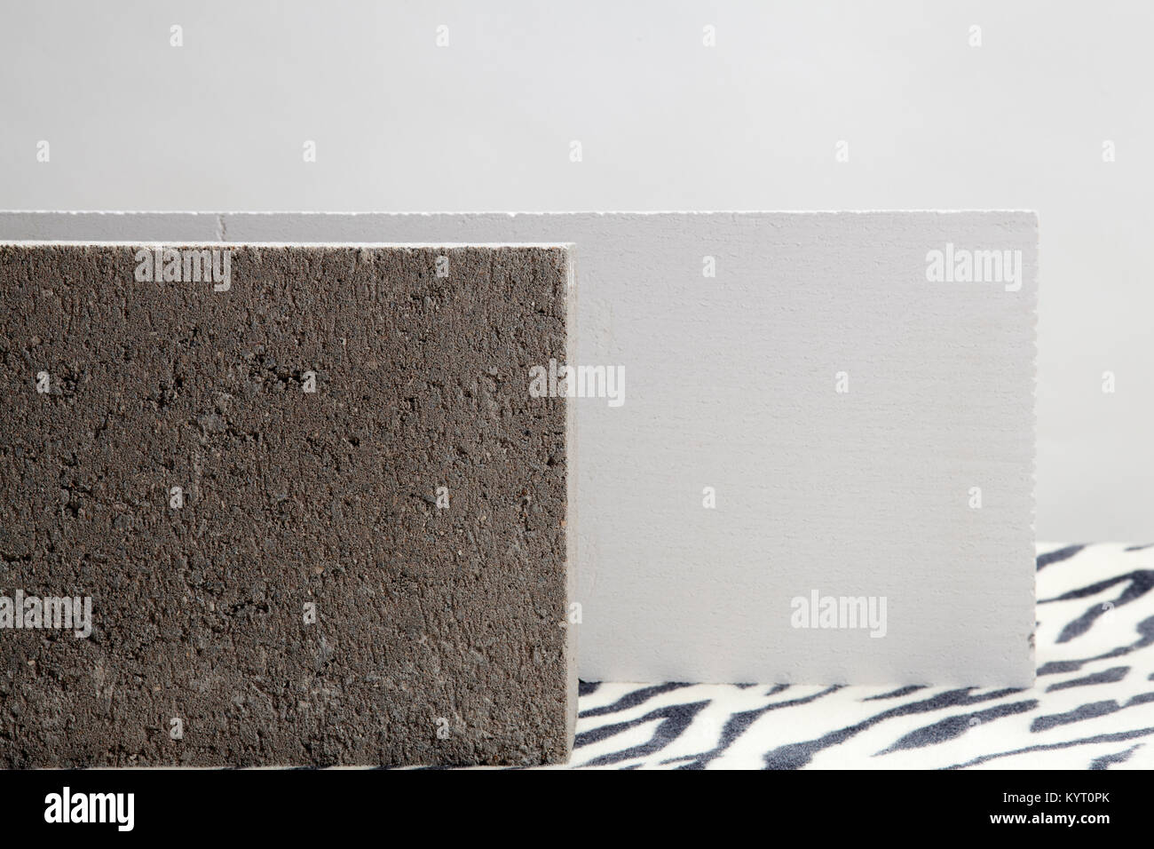 2 blocs de béton sur un tapis à motifs zèbre. Couleur minimum still life photography Banque D'Images