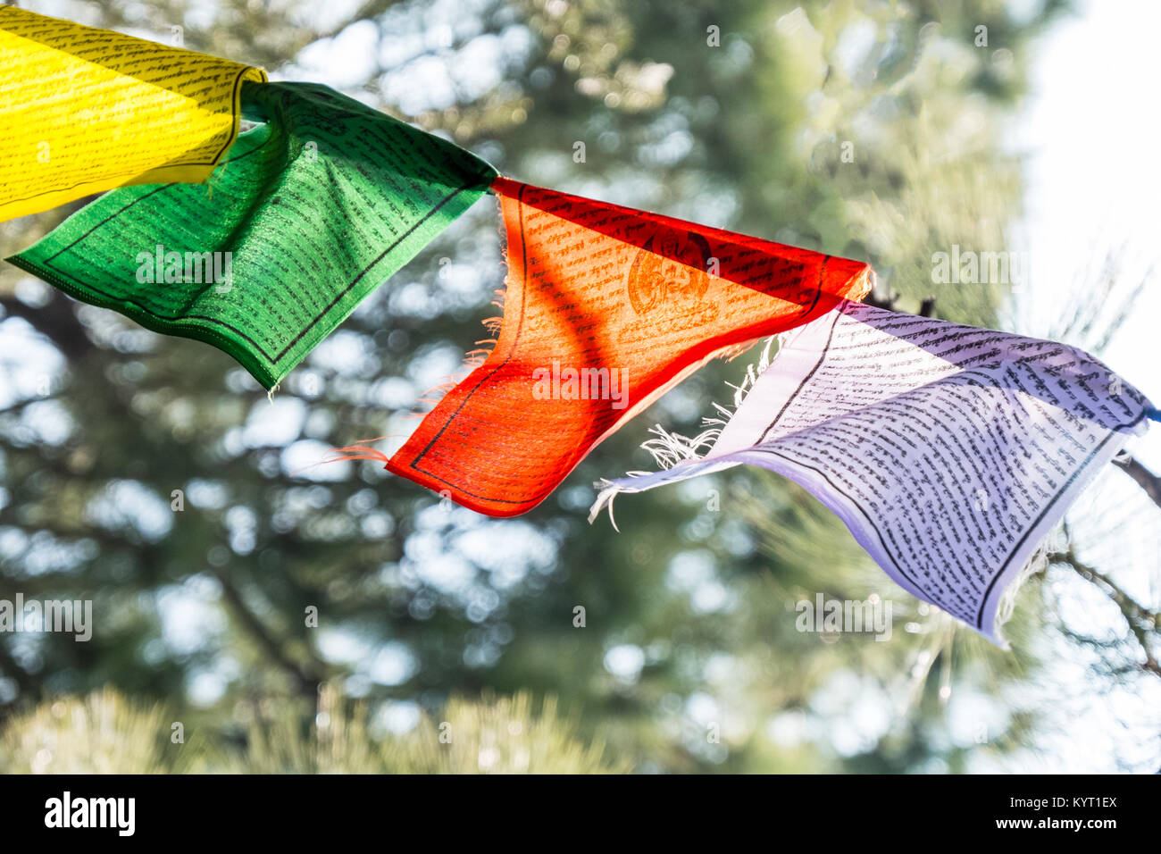 Les drapeaux de prières bouddhistes dans la région de Dharamsala, en Inde, la maison du gouvernement tibétain en exil Banque D'Images