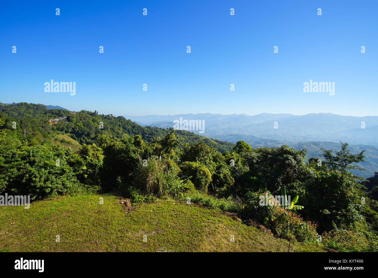 Vue de la nature et des forêts de montagne, ciel bleu à Doi Mae Salong Chiang Rai, Thaïlande Banque D'Images