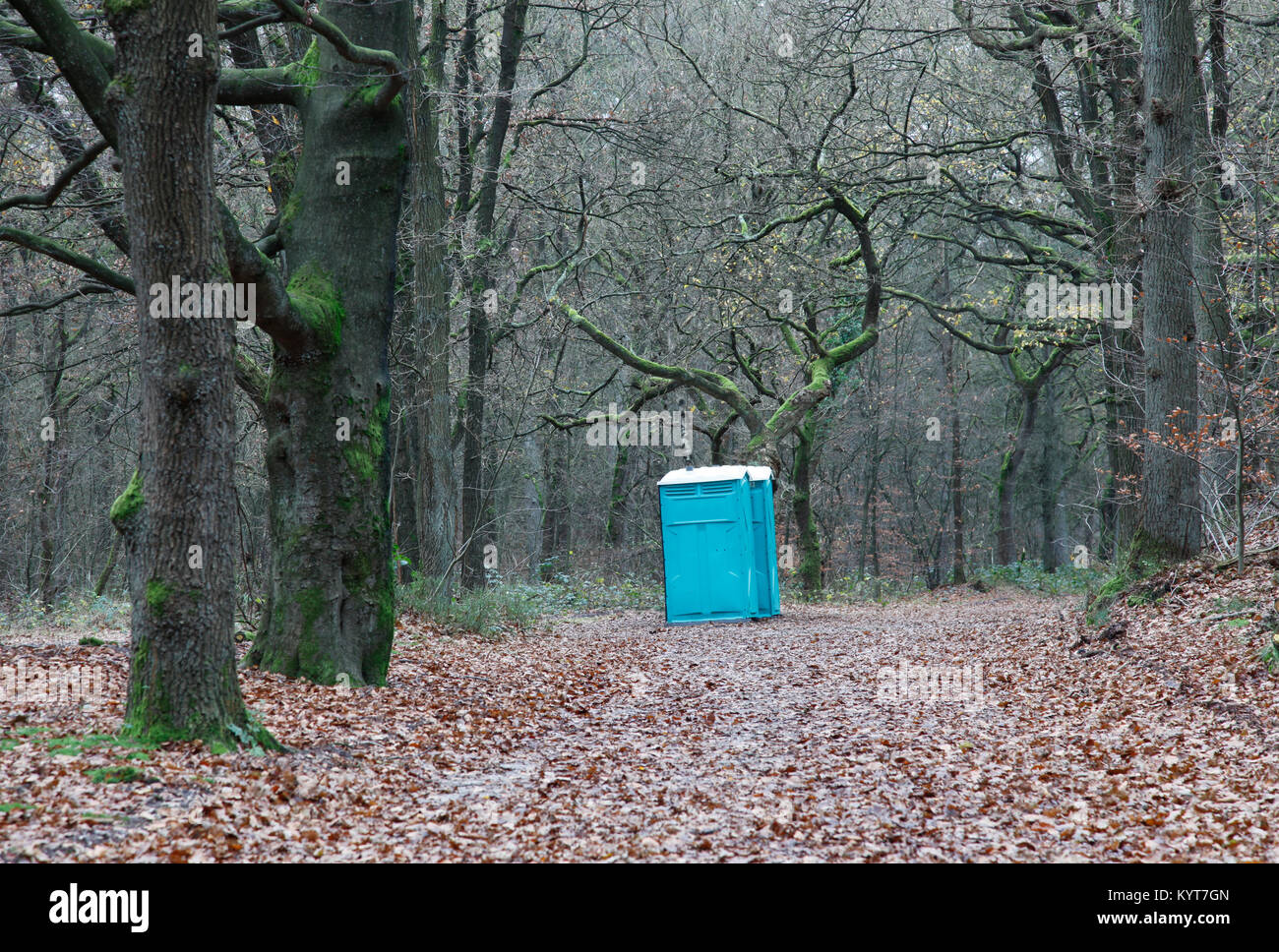 Toilettes portables dans le milieu de l'hiver dans la forêt aux Pays-Bas Banque D'Images