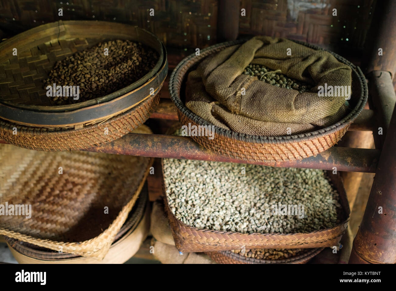 Différents types de grains de café sur les plaques Banque D'Images