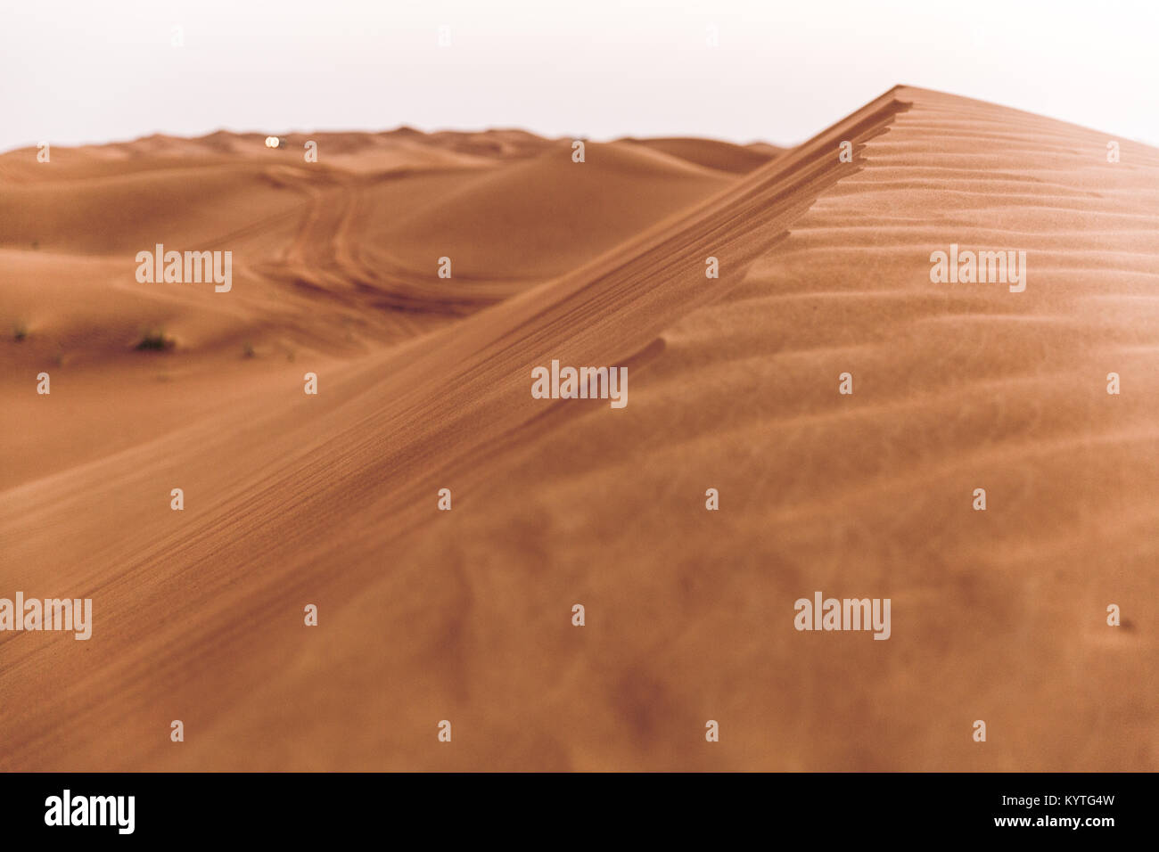 Dune Bashing aventure au Dubai Desert sur Oman road. Textures naturelles, abstract pattern, du vent qui souffle. La planète Terre, mère nature. Sable fin. Banque D'Images