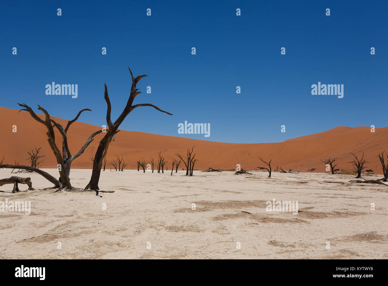 Une vue de Dead Vlei Sossusvlei, Namibie Banque D'Images