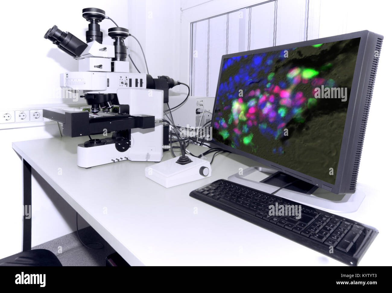 Microscope moderne équipé d'un appareil photo numérique, ordinateur et moniteur Banque D'Images