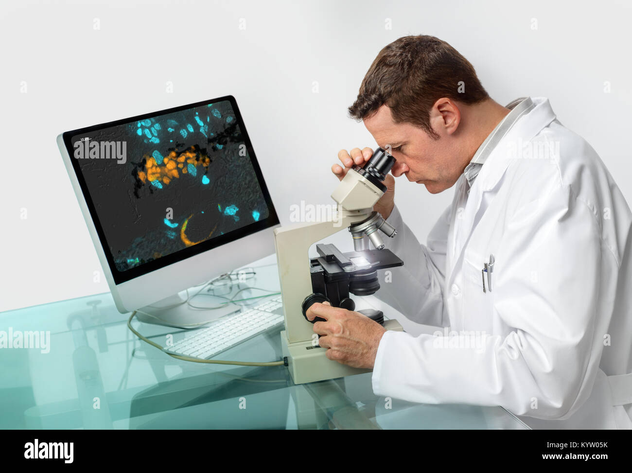 Senior male scientifique ou tech observe sous le microscope Banque D'Images