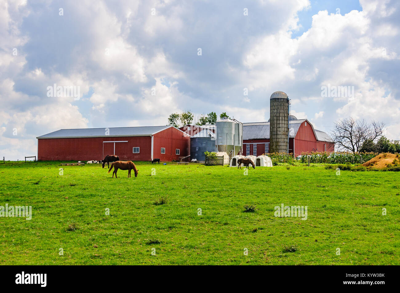 Les bâtiments de ferme en pays Amish en Pennsylvanie, USA Banque D'Images