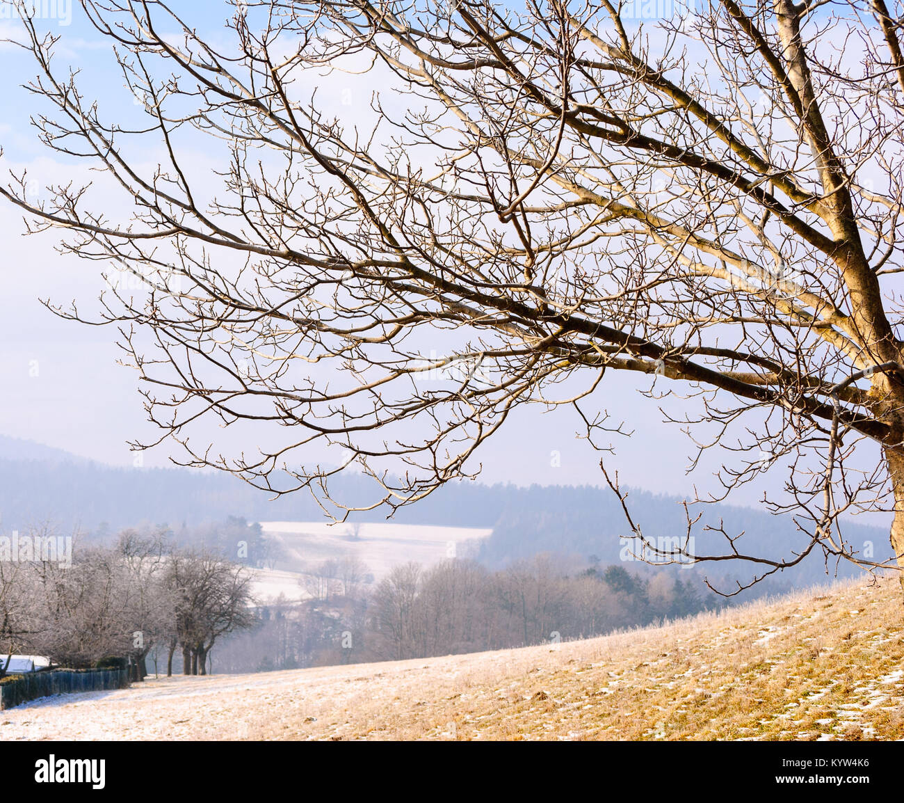Couleur Pittoresque Paysage Nature Idyllique En Plein Air Libre De Droit D Une Campagne Vallonnee Avec Neige Brouillard Brume Prises Sur Une Journee Ensoleillee Avec Arbre Dans La Foregound Photo Stock Alamy
