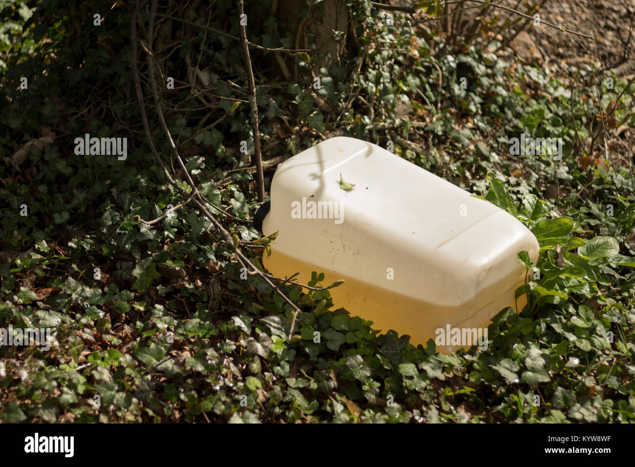 Garbage Banque D'Images