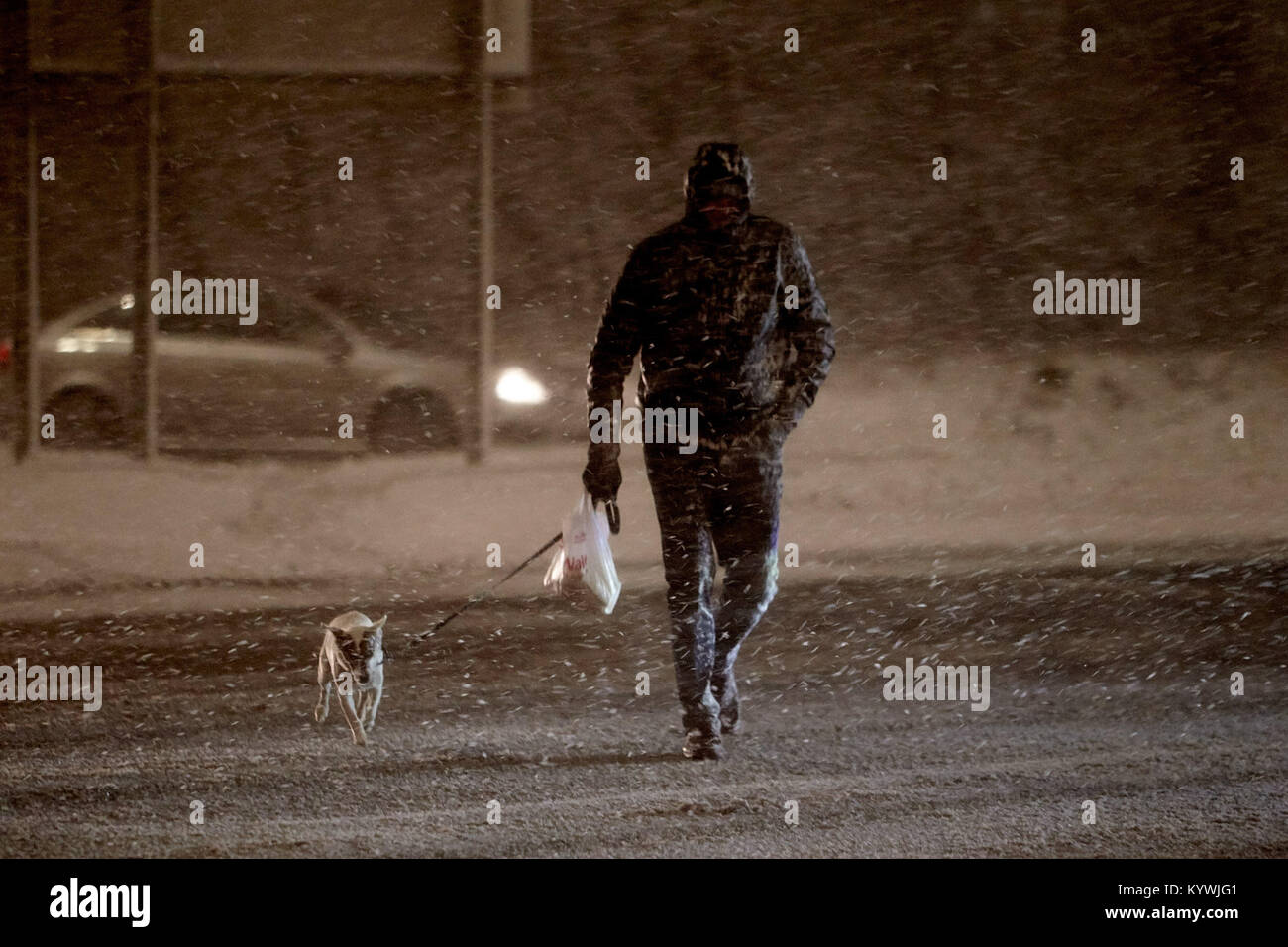 Newtownabbey, du Nord, de l'Irlande. 16 janvier, 2018. L'homme marcher un petit chien pendant l'amber alerte météorologique que les fortes chutes de neige commence à couvrir la garde en dehors de Belfast, en Irlande du Nord, le 16 janvier 2018 Credit : Radharc Images/Alamy Live News Banque D'Images