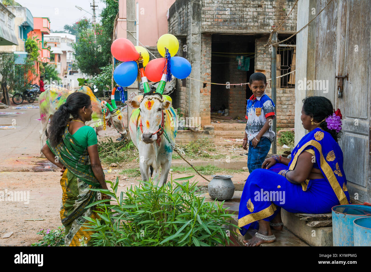 Tamil Nadu, Inde. 16 janvier, 2018. Pongal, le harvest festival dédié au soleil, célébré dans le village de Kuilapalayam au Tamil Nadu. Les vaches sont habillés et colorés pour la parade. Crédit : Marco Saroldi/Alamy Live News Banque D'Images