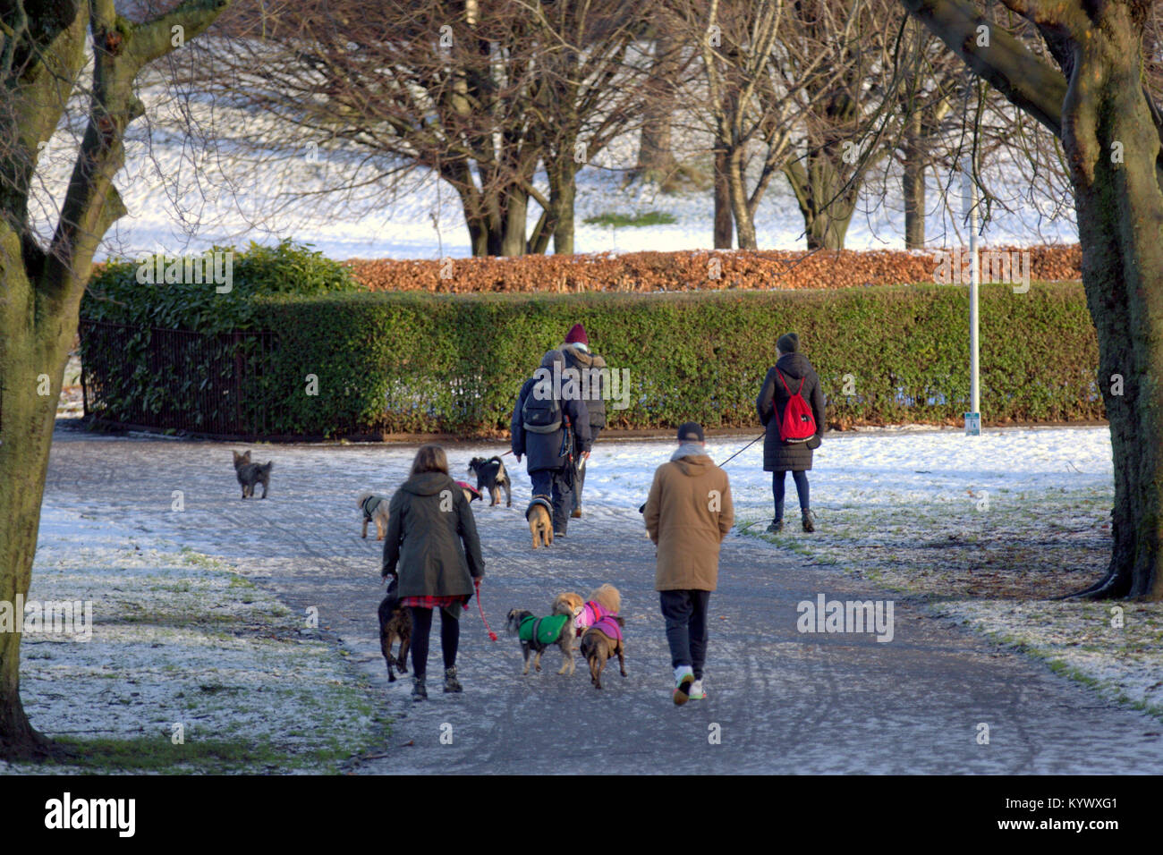Glasgow, Scotland, UK 17 janvier. Fionn tempête de neige en Glasgow fait place à la lumière du soleil et un clair comme les gens à retourner au travail dans le parc de Kelvingrove, Glasgow, Royaume-Uni. Gérard Ferry/Alamy news Banque D'Images