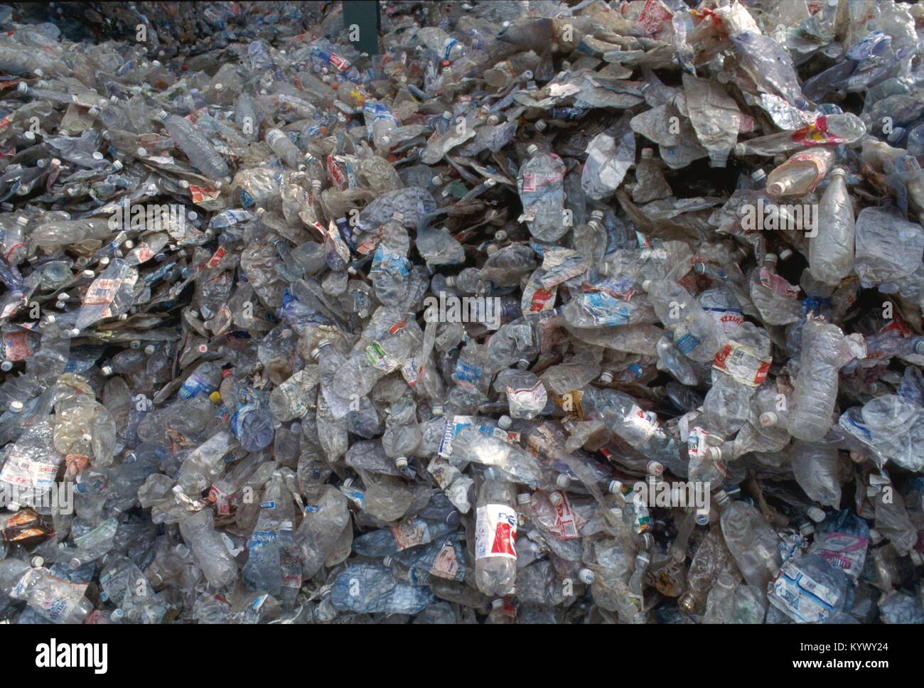 CO.RE.PLA , Italien Consortium National pour la collecte, le recyclage et la récupération des déchets d'emballages en plastique ; plante de Bollate pour le traitement des bouteilles en plastique et les canettes. Banque D'Images