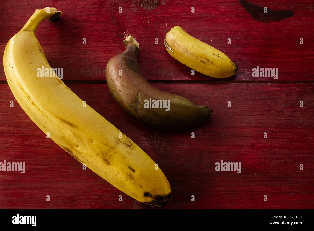 Vue de dessus d'un rouge, Cavendish et mini pisang banana sur une table en bois Banque D'Images