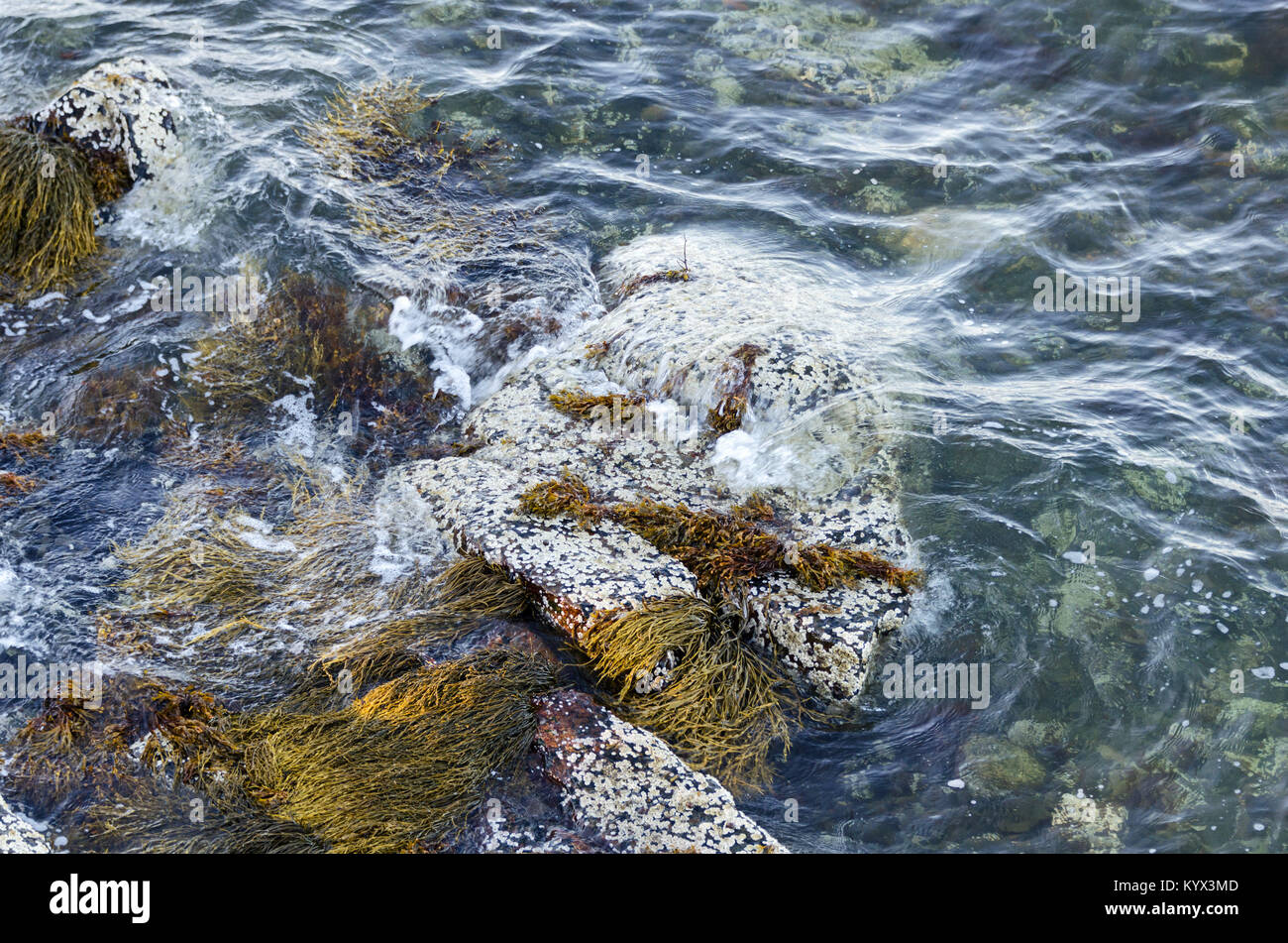 Les petites vagues se brisant sur les rochers de granit sur la rive de Mount Desert Island, dans le Maine. Banque D'Images