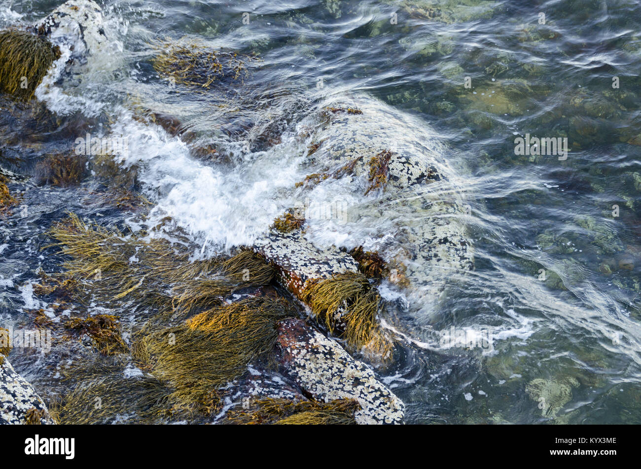 Les petites vagues se brisant sur les rochers de granit sur la rive de Mount Desert Island, dans le Maine. Banque D'Images