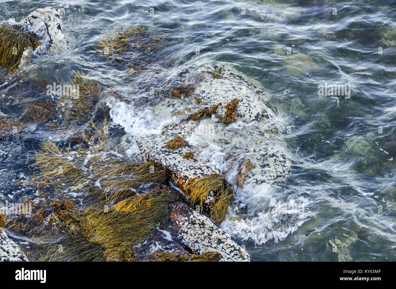 Les petites vagues se brisant sur les rochers de granit sur la rive de Mount Desert Island, dans le Maine. Banque D'Images