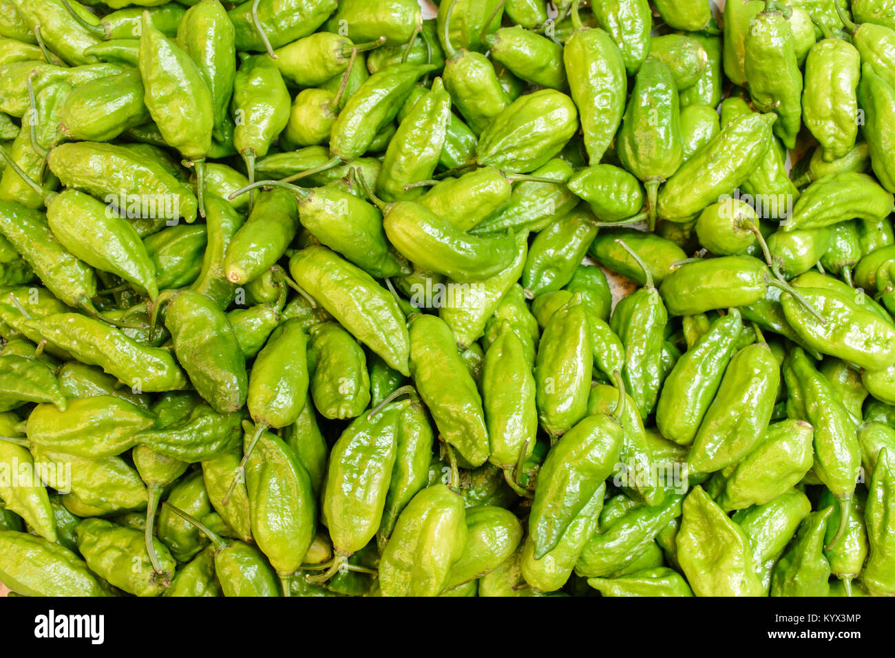 Photo de matière première du piment vert Banque D'Images