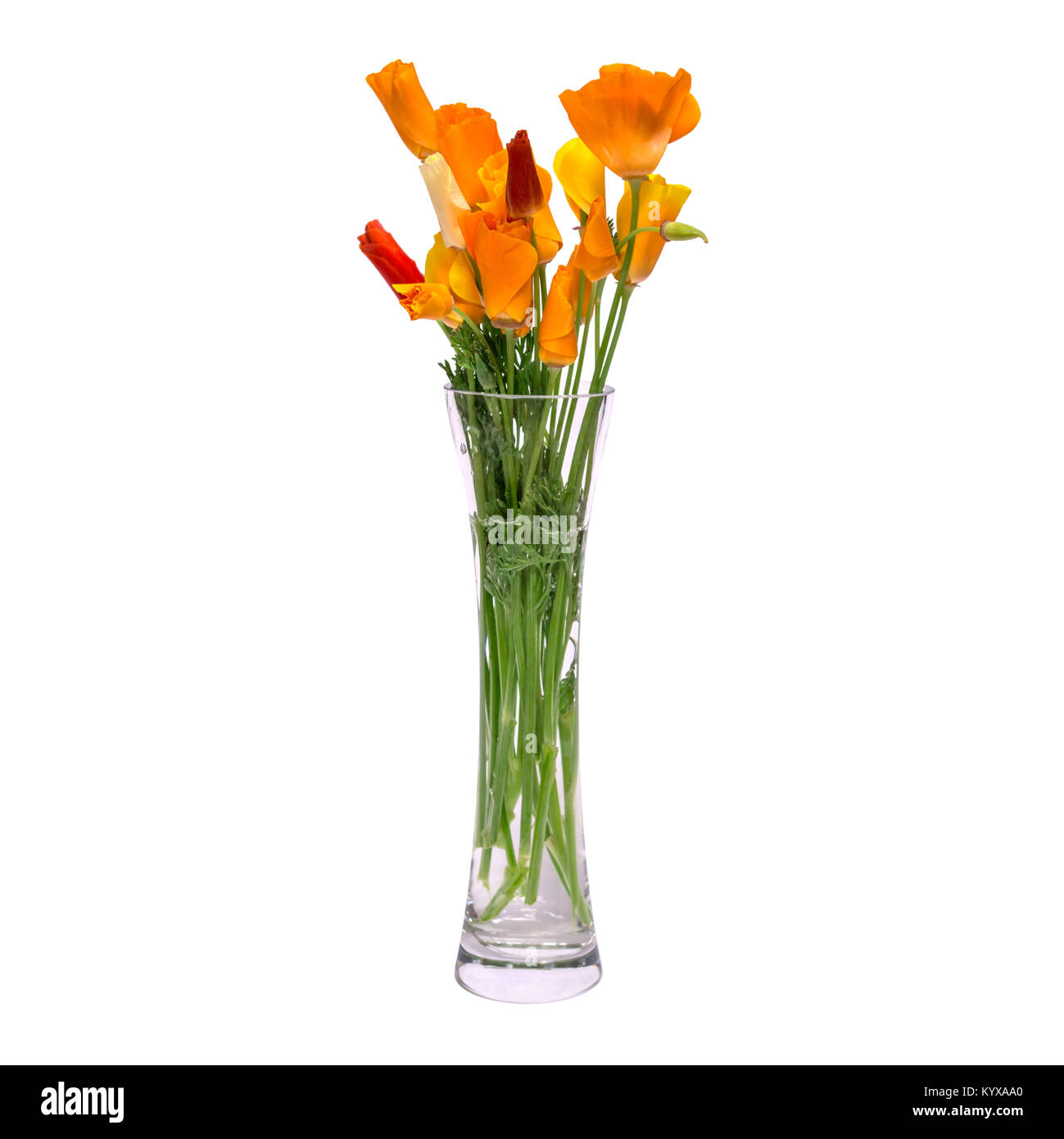 Un bouquet de fleurs de printemps orange dans un verre vase 
