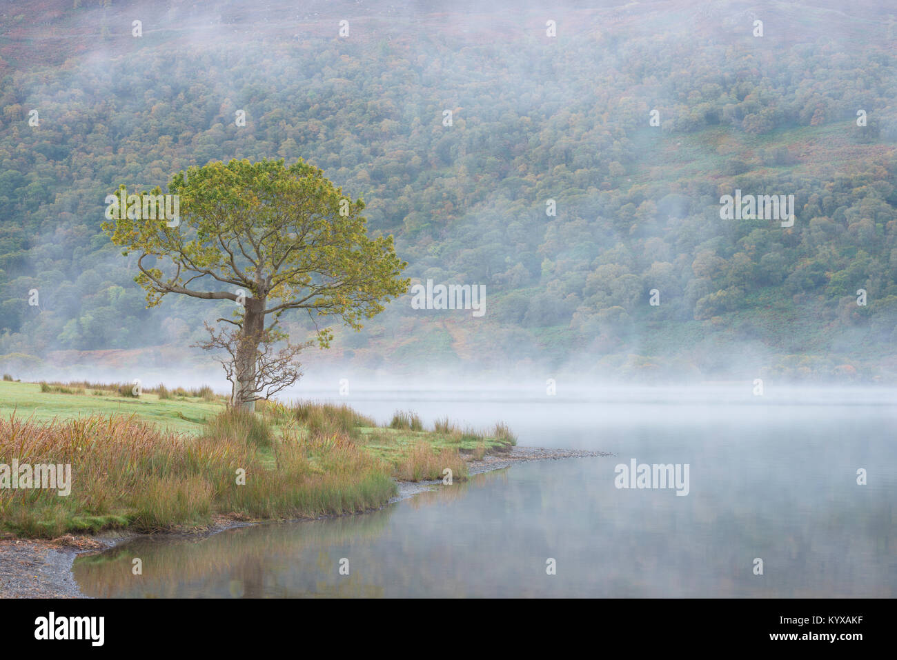 Belle brume sur la hure Banque D'Images