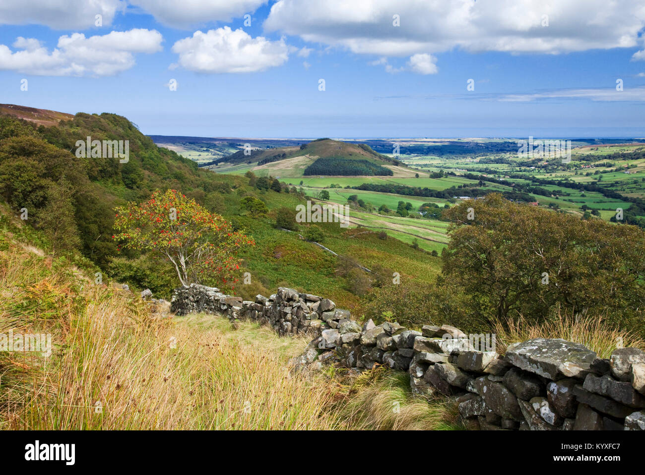Têtes en Fryup Grande Dale de Raven Hill North York North Yorkshire Moors national park Banque D'Images