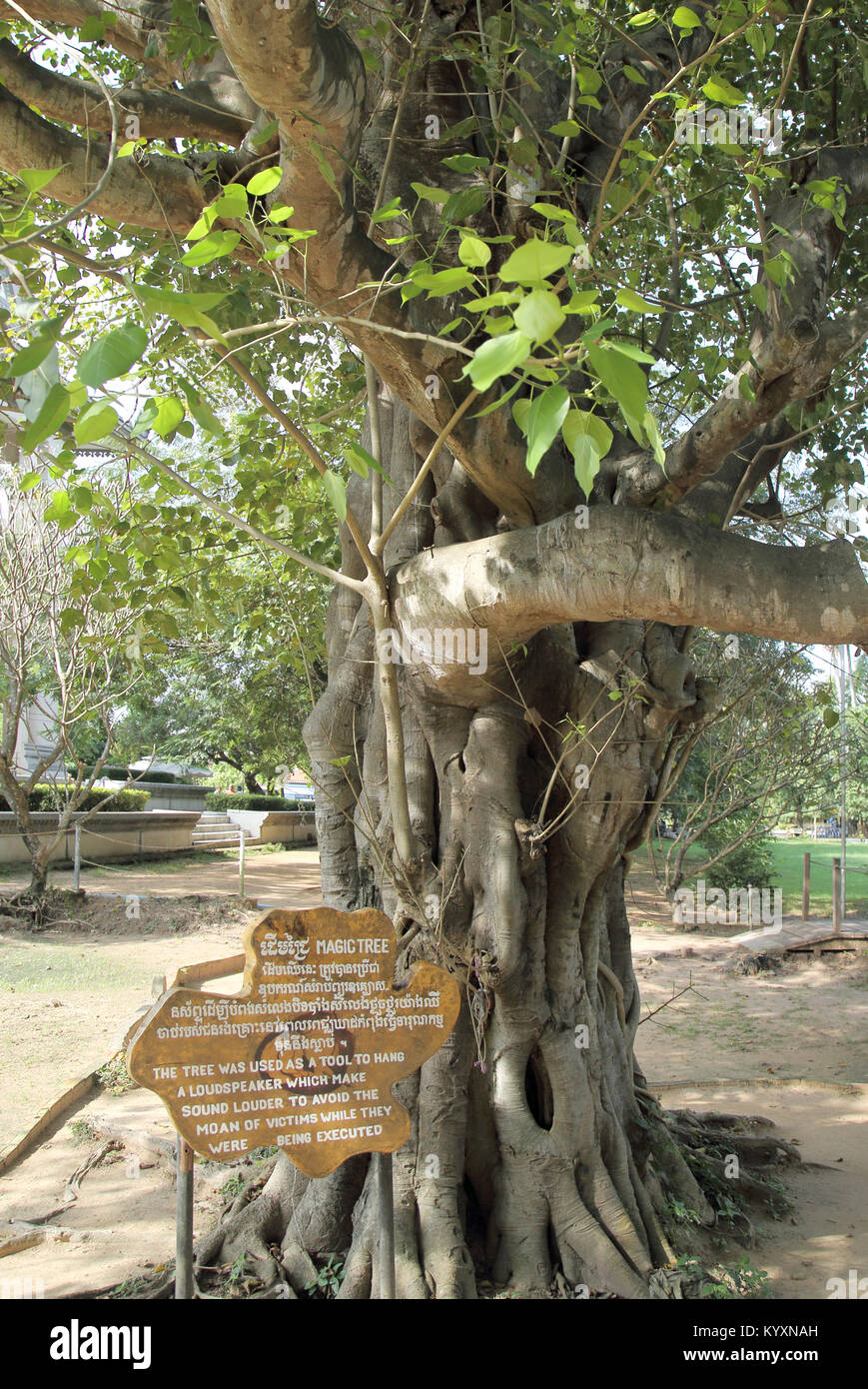 Choeung Ek centre génocidaire au killing fields Phnom Penh Cambodge Banque D'Images