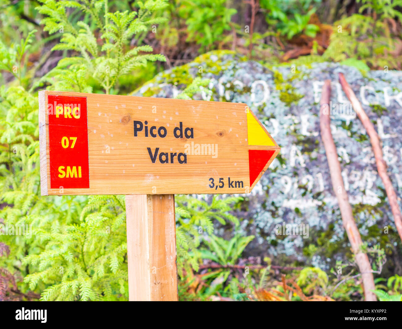 Façon de Le Pico da Vara, la plus haute montagne sur l'île de São Miguel, dans l'archipel portugais des Açores. Banque D'Images