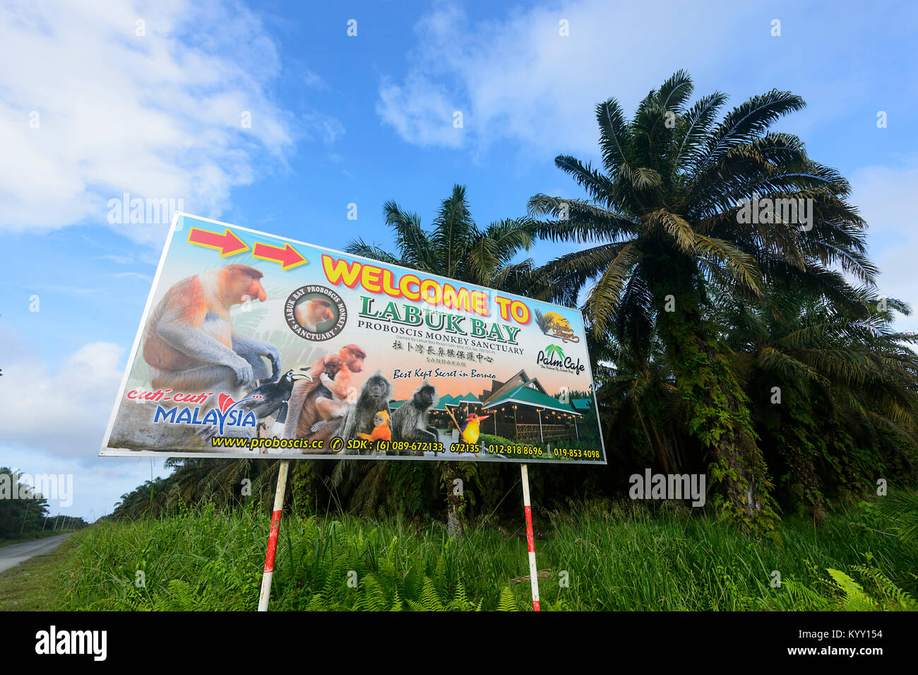 Bienvenue à Labuk Bay signe, le Proboscis Monkey Sanctuary près de Sandakan, Bornéo, Sabah, Malaisie Banque D'Images