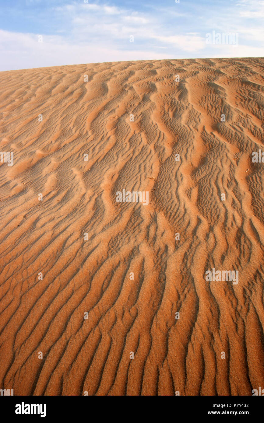 Structures de sable, Sossusvlei, Namib-Naukluft National Park, Désert du Namib, Namibie | Strukturen im Sand, Sossusvlei, Namib-Naukluft Nationalpark Banque D'Images