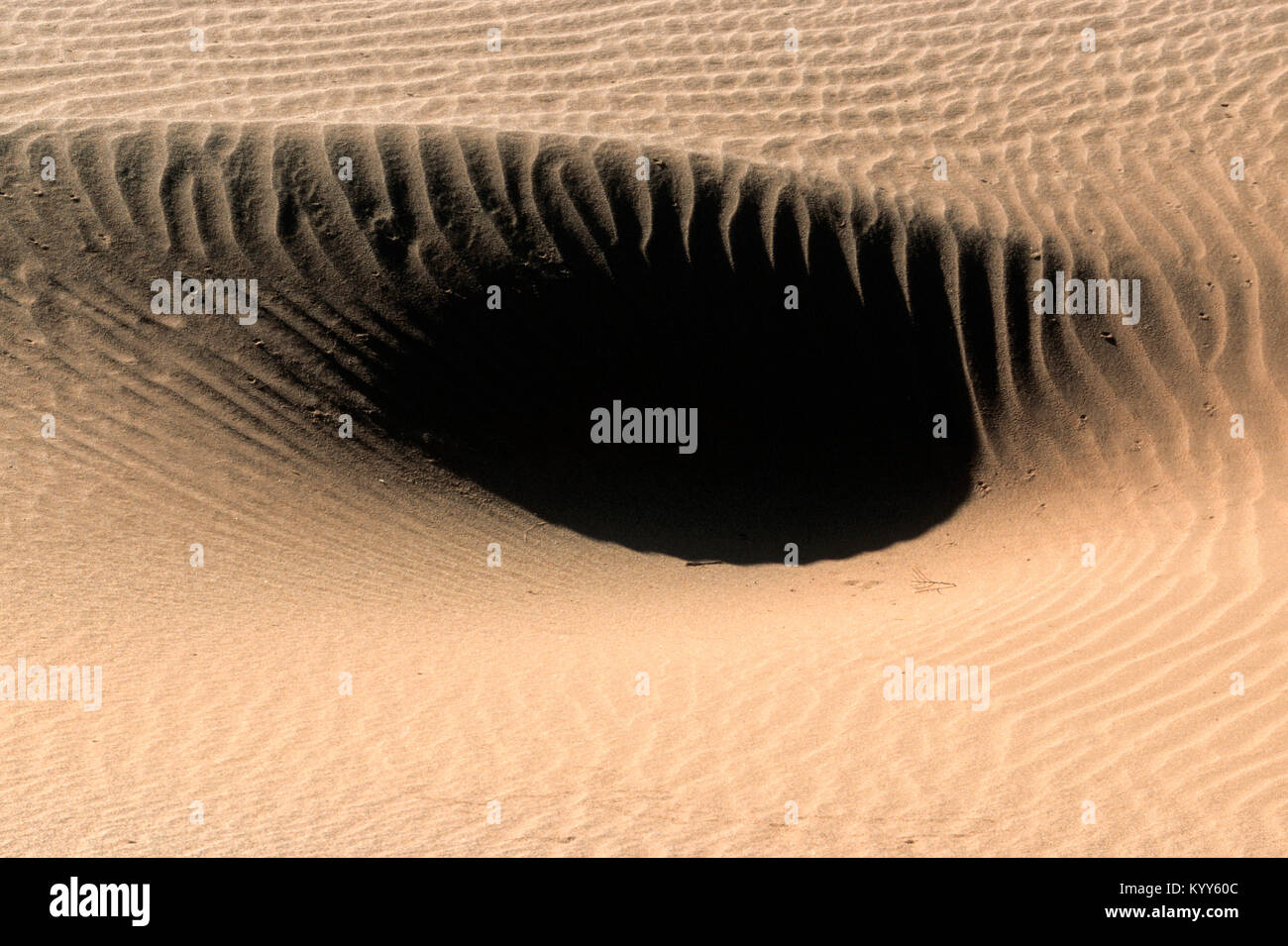 Structures de sable, Sossusvlei, Namib-Naukluft National Park, Désert du Namib, Namibie | Strukturen im Sand, Sossusvlei, Namib-Naukluft Nationalpark Banque D'Images