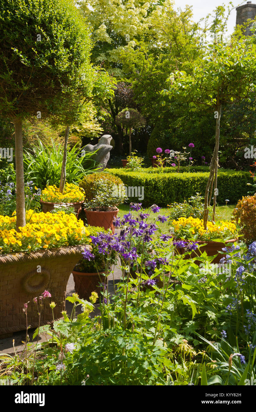 Petit jardin d'été densément planté d'arbustes et de couleur Banque D'Images
