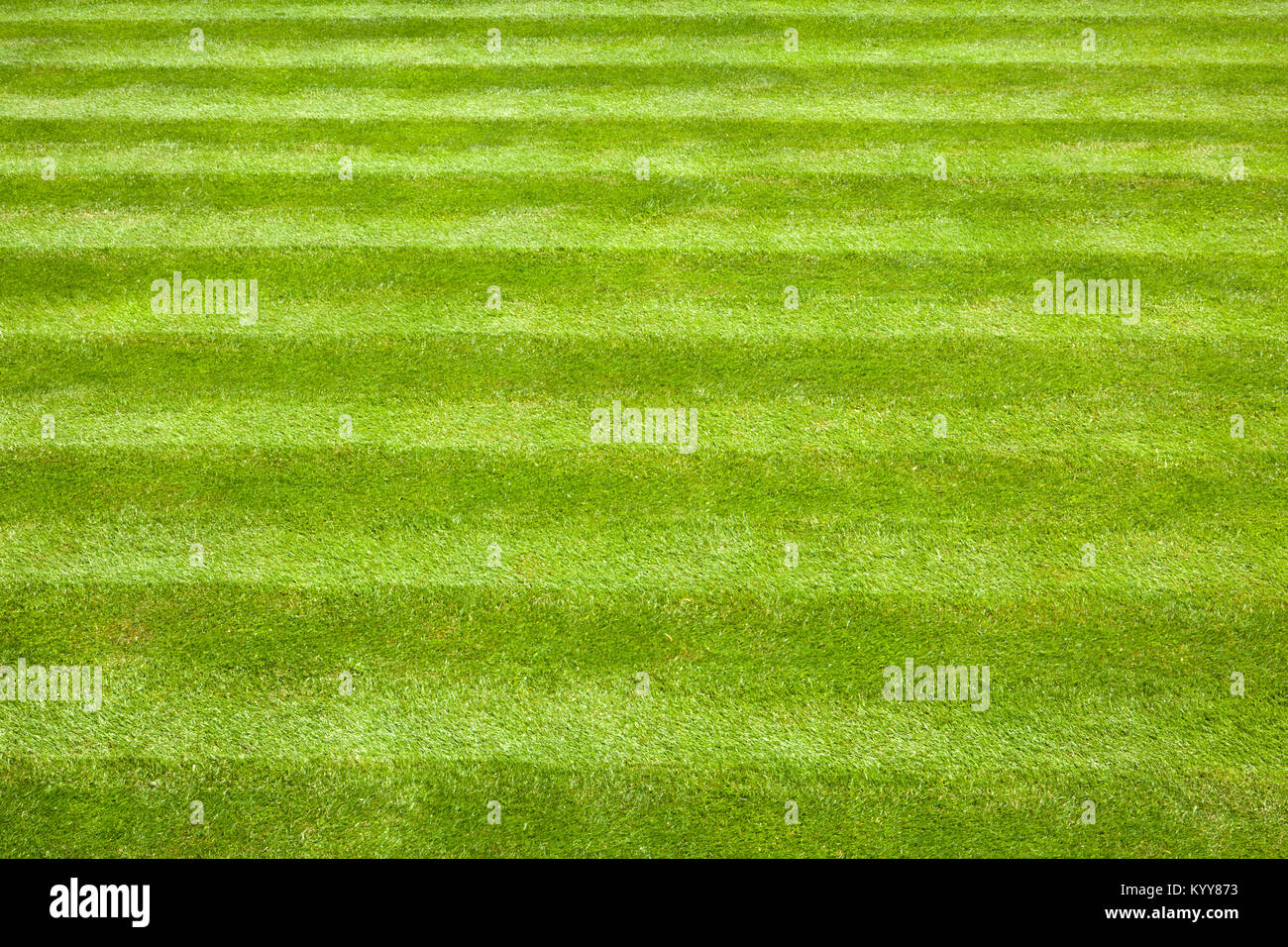 Jardin pelouse avec faucheuse stripes Banque D'Images