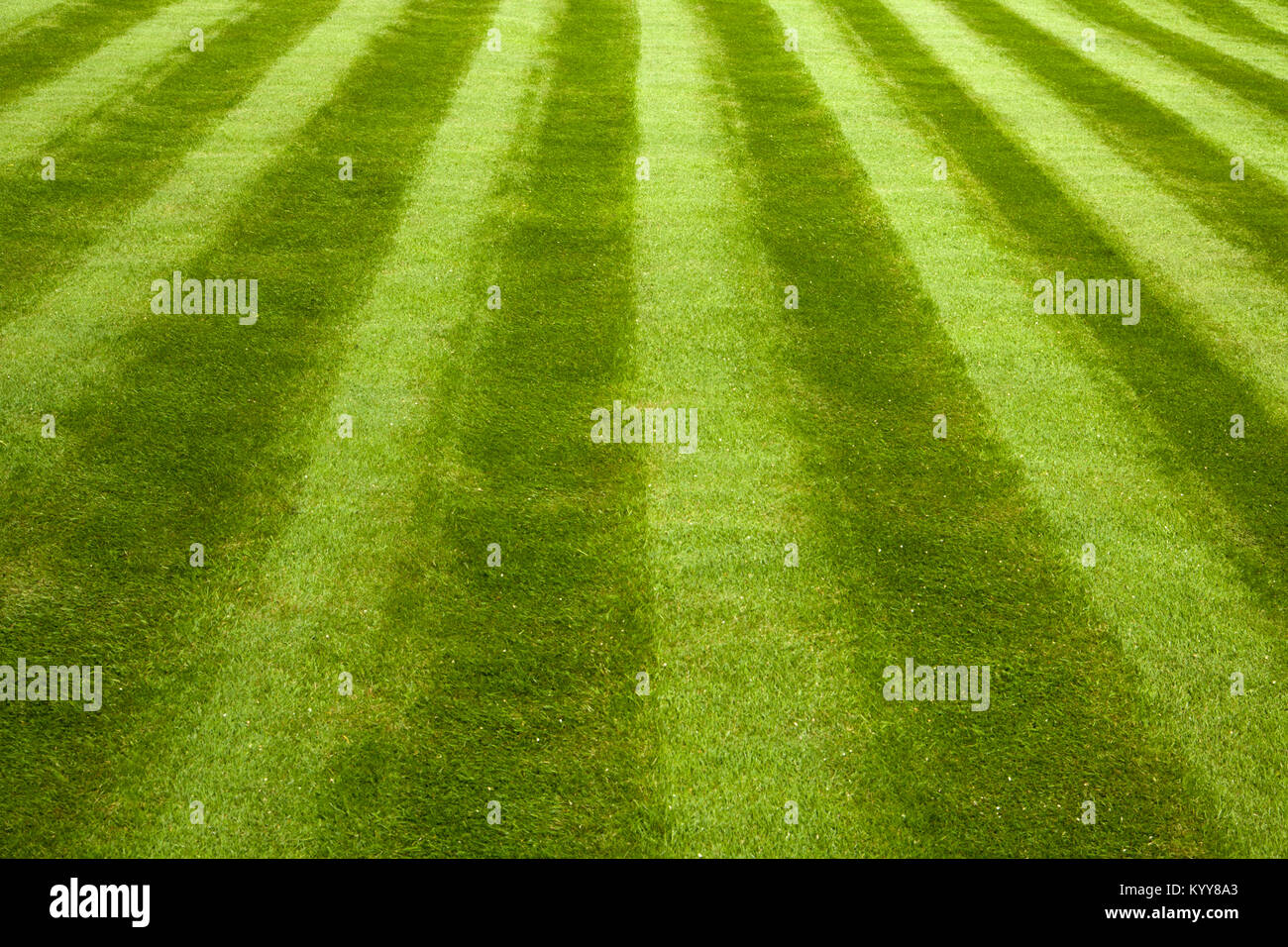 Jardin pelouse avec faucheuse stripes Banque D'Images