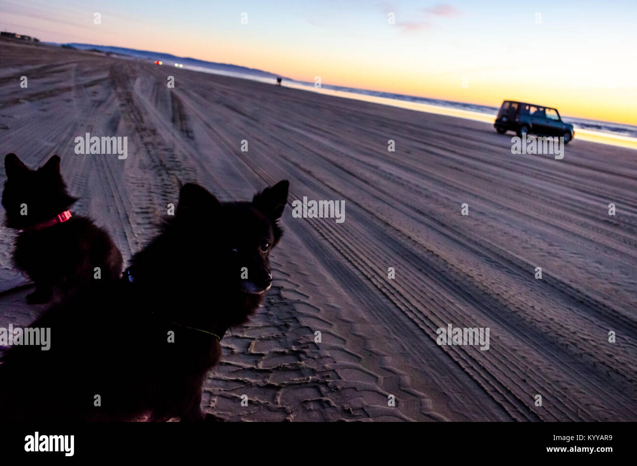 Pismo Beach California USA Banque D'Images