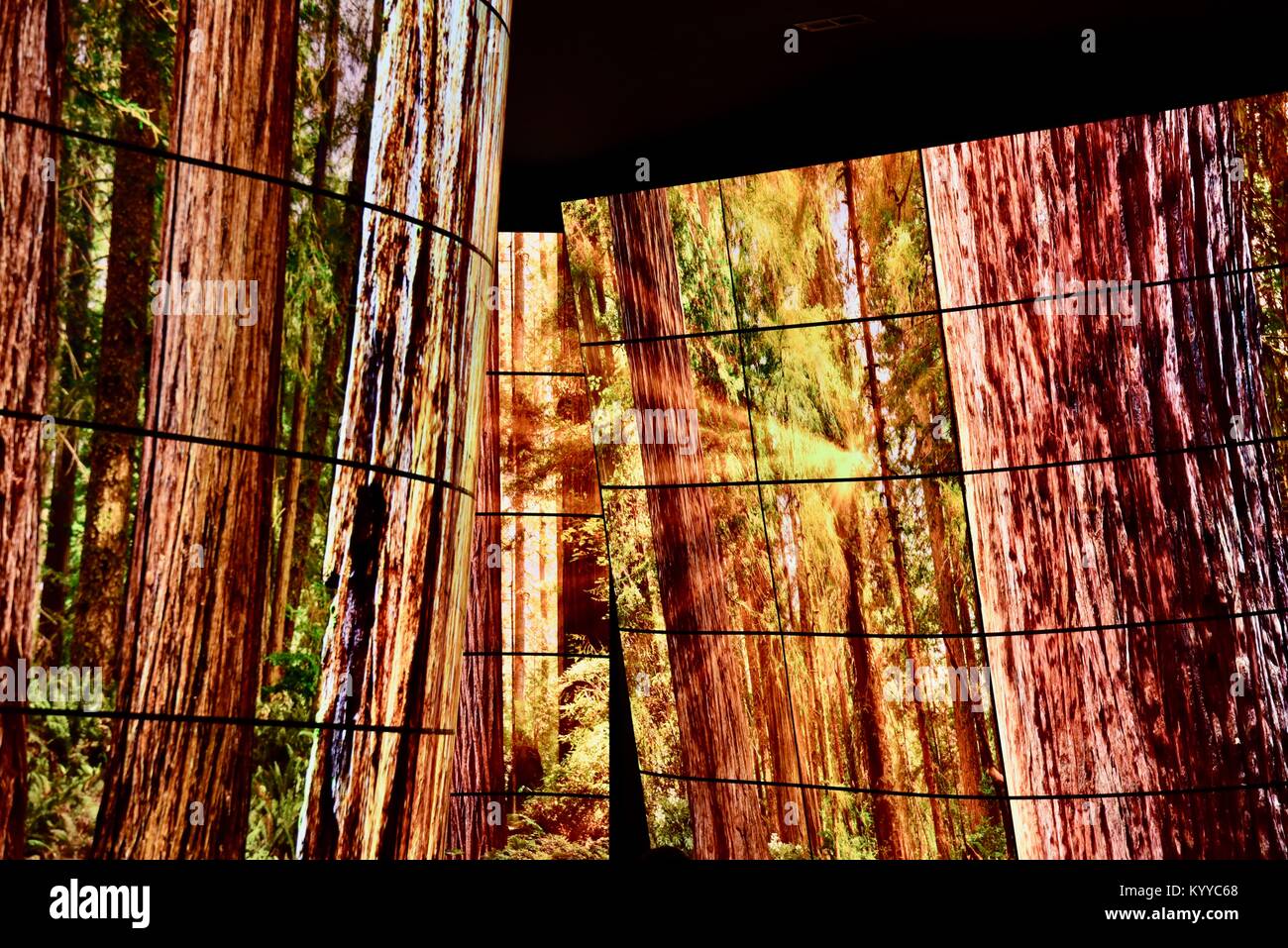 OLED LG Electronics 92-ft de long canyon 'Affichage' de la TVs au CES (Consumer Electronics Show), la plus grande exposition mondiale, à Las Vegas, USA Banque D'Images