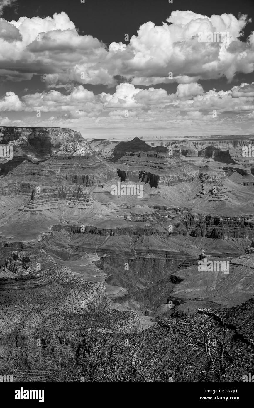 Le Bright Angel Trail dans le South Rim du Grand Canyon National Park. Banque D'Images