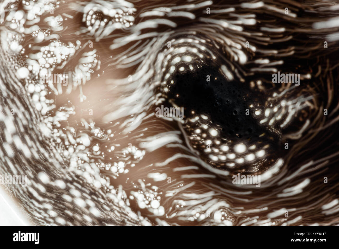 Mouvement de flou intentionnel des bulles de soda pétillant déplace alors que l'eau liquide créant un abstract image floue de frantic de blanc et dégage des gaz Banque D'Images