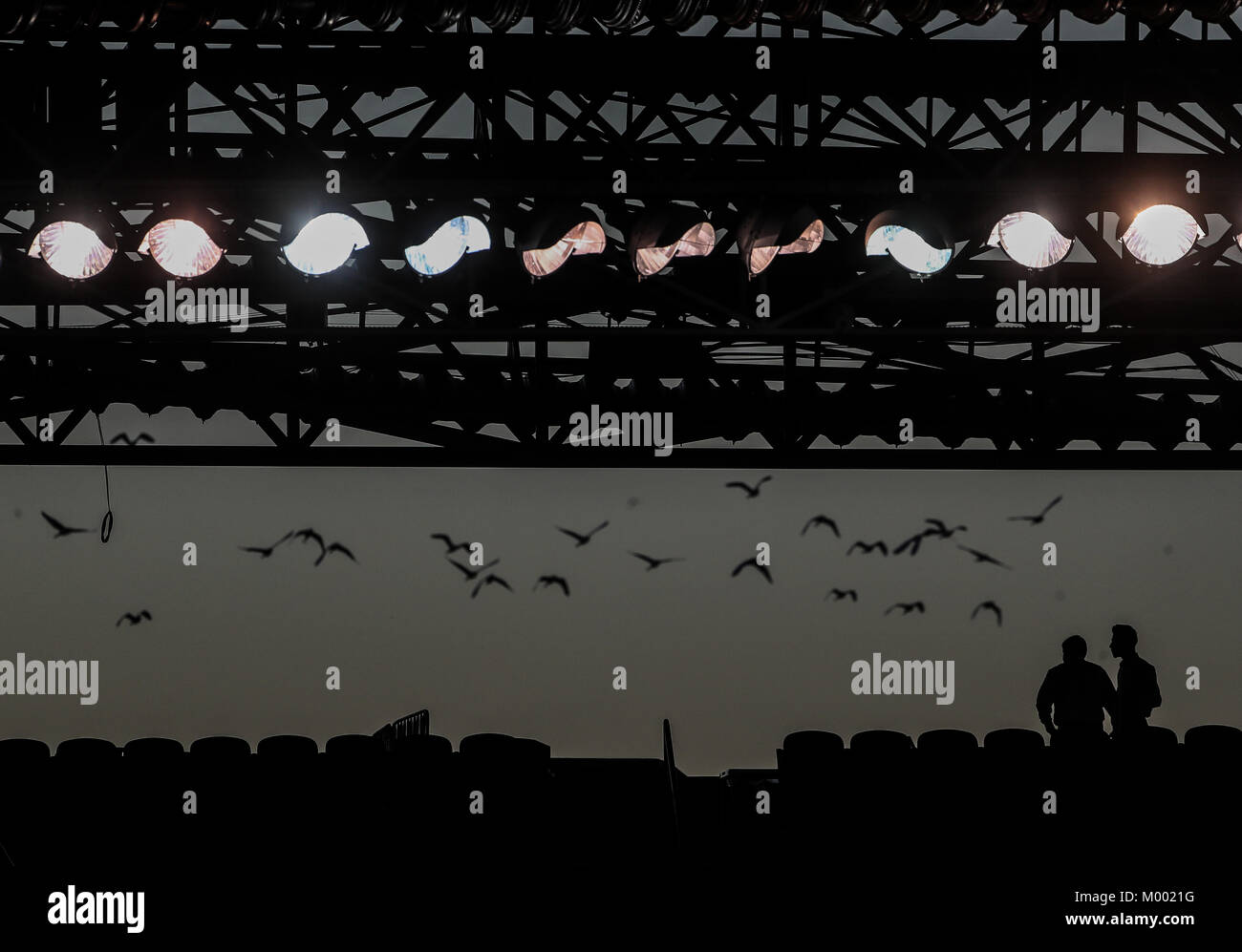 Silueta de varias aves acuáticas que pasan a un costado las lamparas que  iluminan el estadio de Sonora. Aspectos previos al partido de beisbol entre  N Photo Stock - Alamy