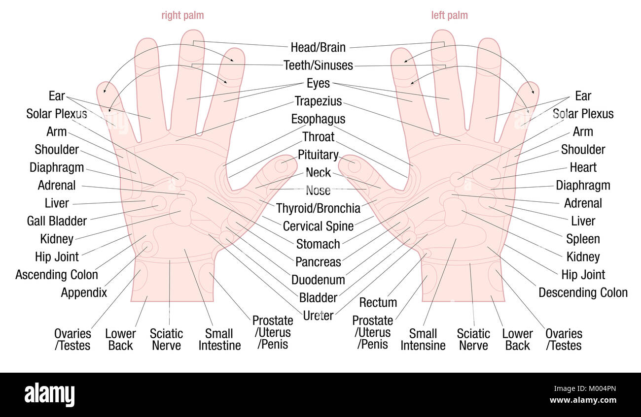 Réflexologie massage main zone graphique avec des zones et des noms des organes internes et les parties du corps - la couleur de la peau. Banque D'Images