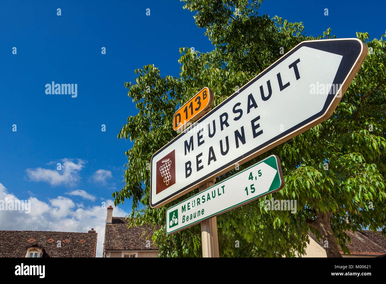 Inscrivez-vous sur la Route des Vins de Bourgogne et de vélos piste  cyclable vers Meursault et Beaune sur la D113b à partir du centre de  Puligny-Montrachet Bourgogne France Photo Stock - Alamy