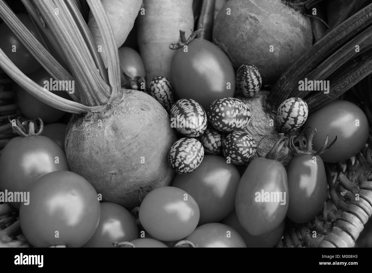 Close-up de tomates fraîches, de la betterave, cornichons aigre mexicain et les carottes dans un panier tissé - traitement monochrome Banque D'Images