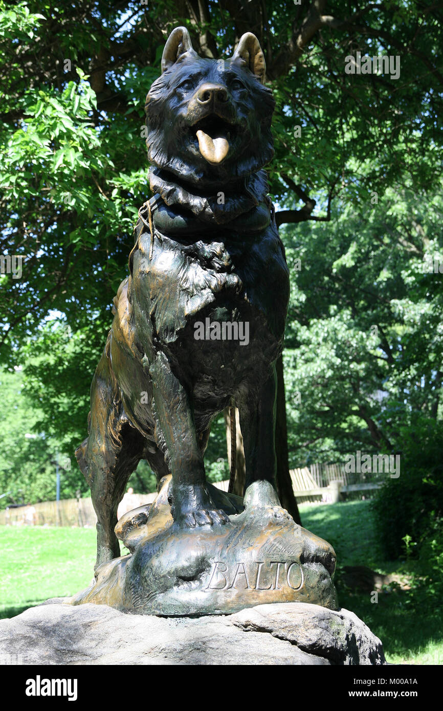 Statue de lion, célèbre jet black héroïque Siberian husky chien de traîneau, Manhattan, New York City, New York Statue, USA. Banque D'Images