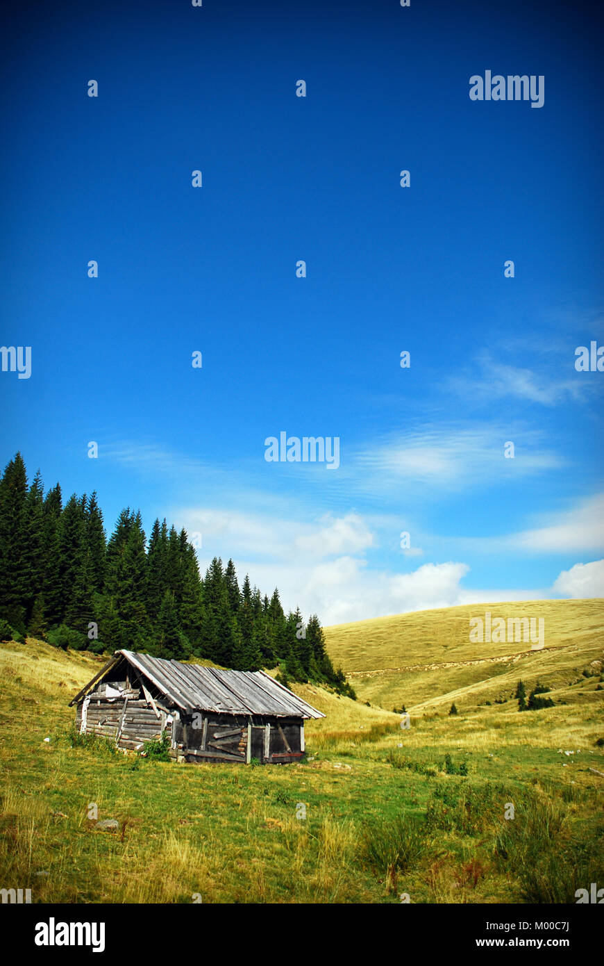 Vieille maison en bois dans la région de prairie alpine Banque D'Images