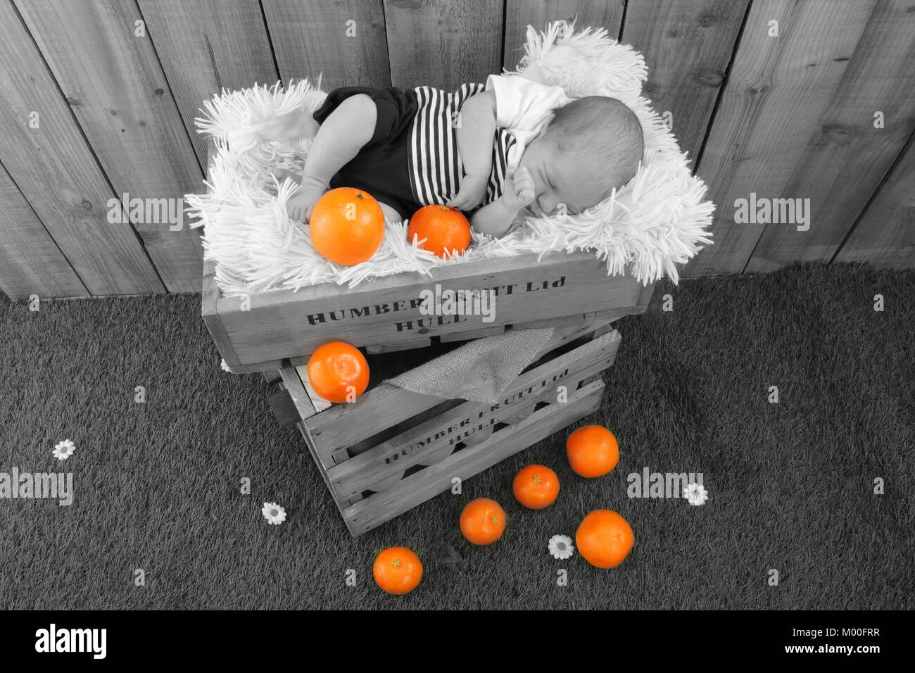 1 mois garçon endormi dans les boîtes de fruits avec les oranges, marché de fruits coque Banque D'Images