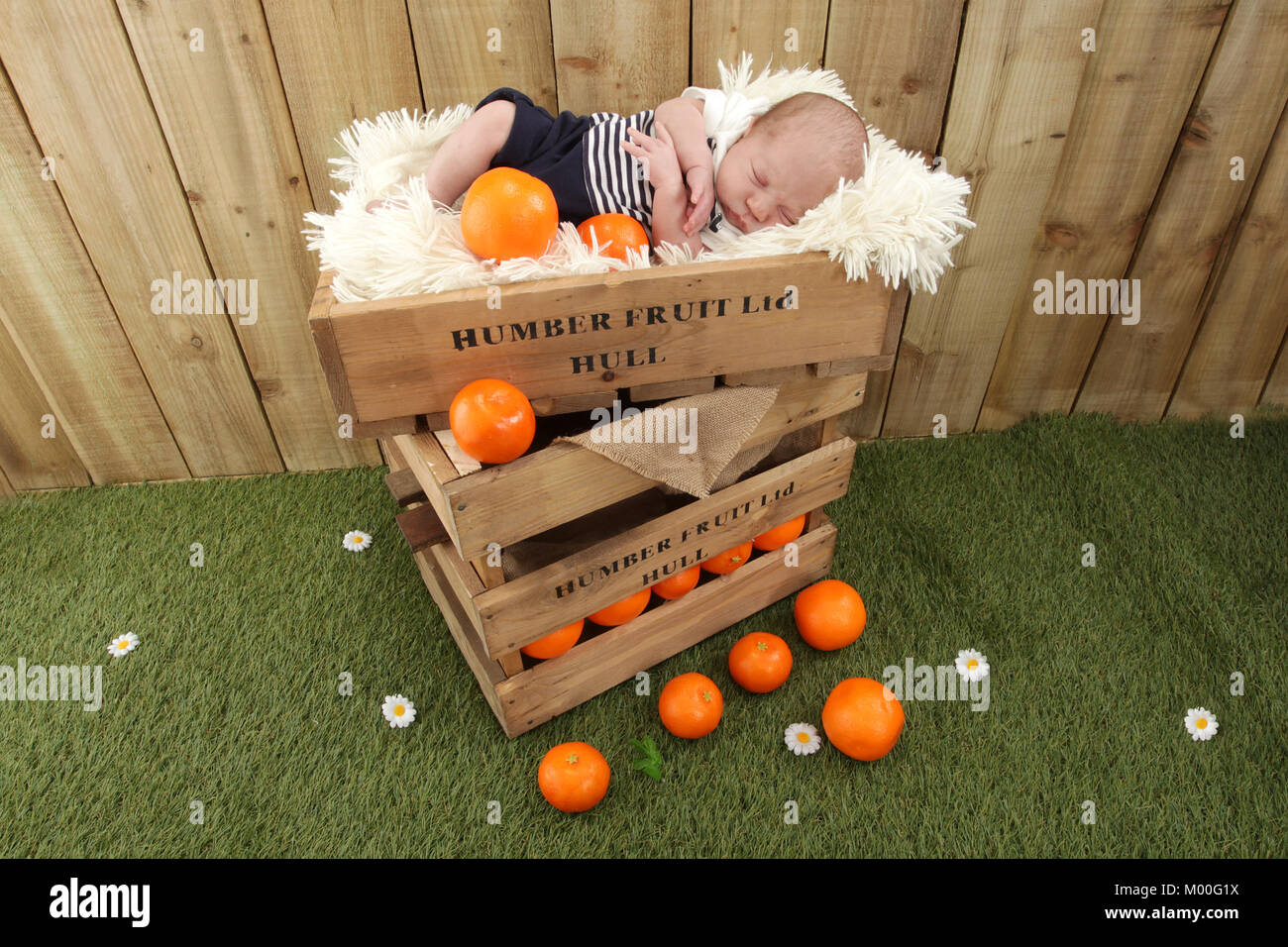 1 mois garçon endormi dans les boîtes de fruits avec les oranges, marché de fruits coque Banque D'Images