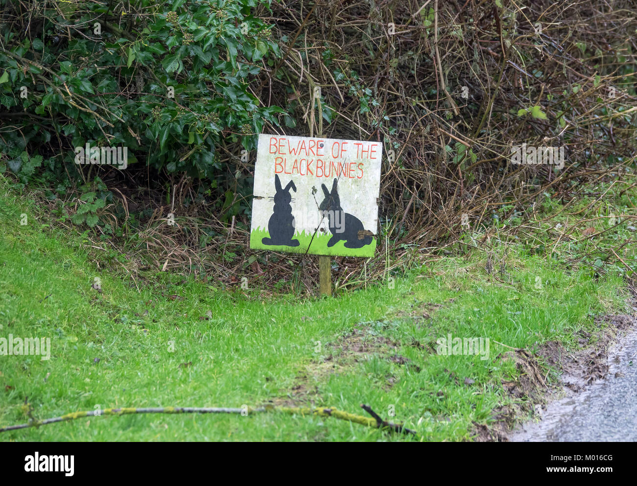 Inscrivez-vous sur l'herbe point par la route à Milton Street, East Sussex, pilotes d'alerte à surveiller les lapins noirs. Banque D'Images