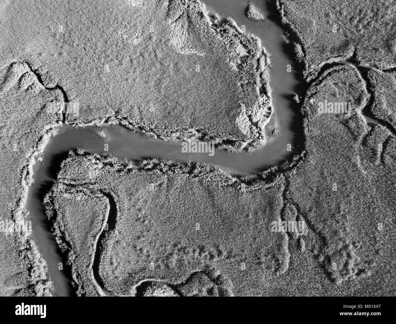 Le noir et blanc vue aérienne de oxbow en delta de fleuve. Banque D'Images